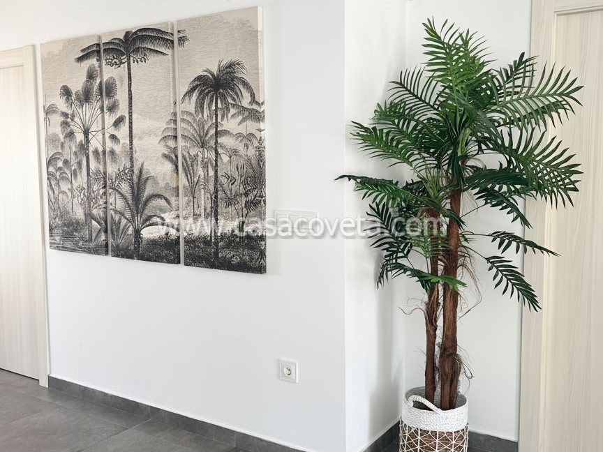 Deco (2)